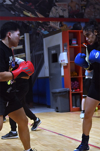 In the heart of our elite boxing facility in Dubai, two dedicated fighters are engaged in an intense sparring session. Clad in professional gloves and high-performance athletic gear, they embody the spirit and discipline of the sport. Surrounding them is a backdrop of top-notch gym equipment, evidence of a space where champions hone their craft and push their limits.